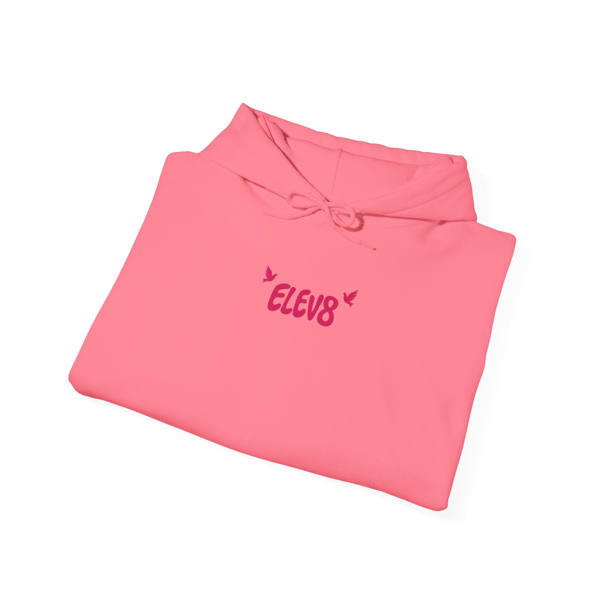 ELEV8 JOY OF THE LORD HOODIE PINK