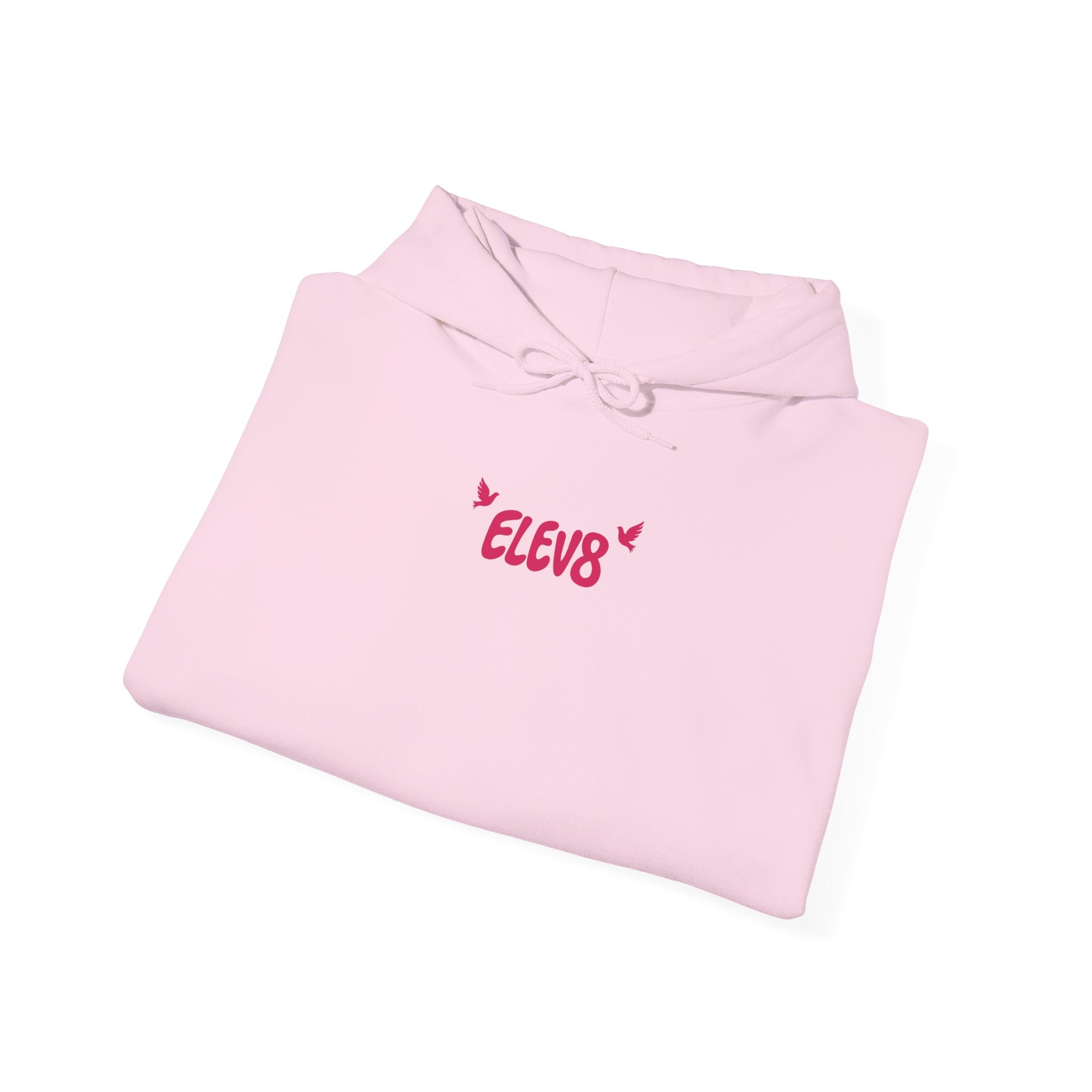 ELEV8 JOY OF THE LORD HOODIE PINK