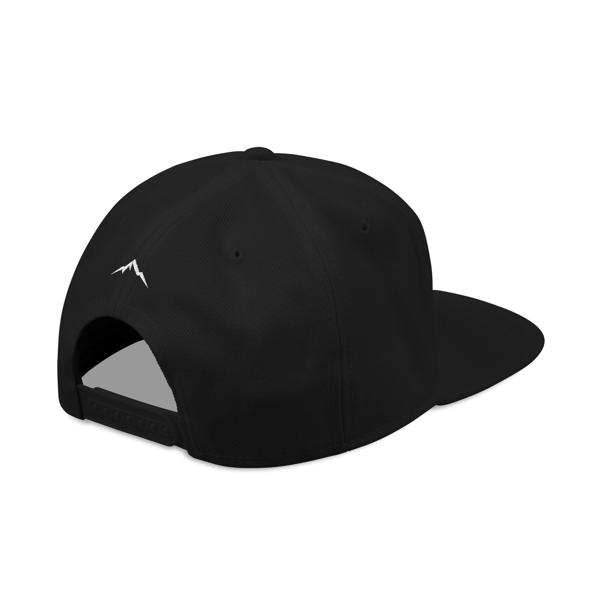 Project ELEV8 Snapback