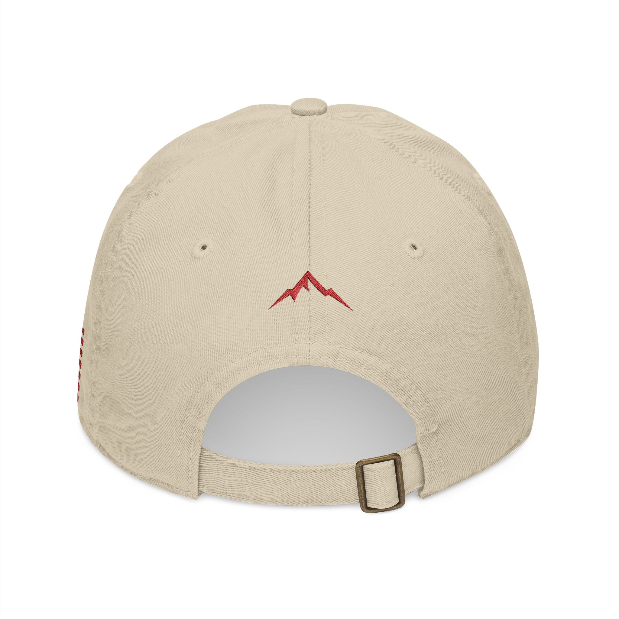 Project ELEV8 Baseball Cap Red Logo