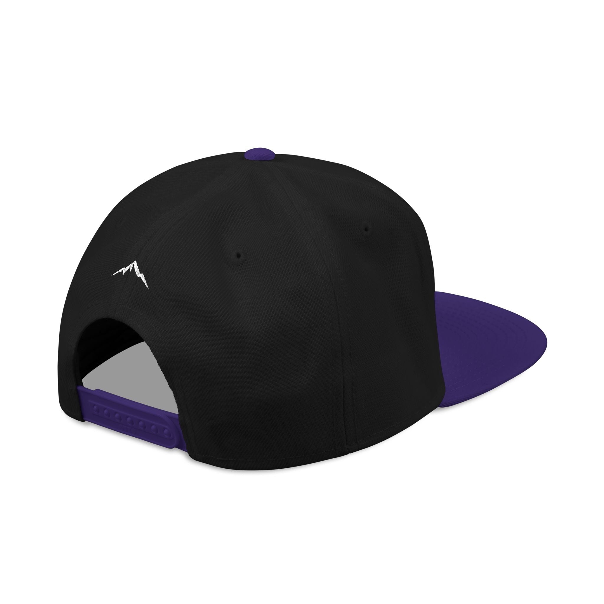 Project ELEV8 Snapback