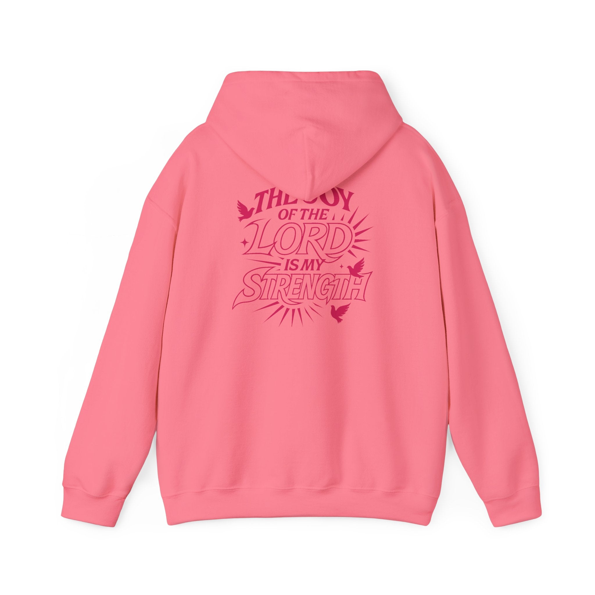 ELEV8 JOY OF THE LORD HOODIE PINK